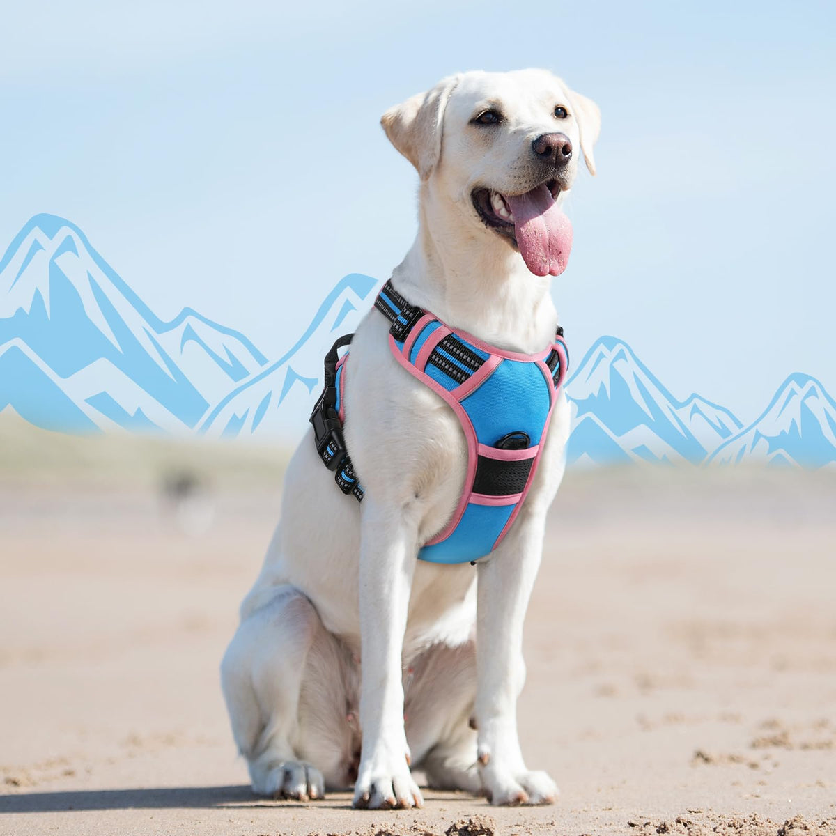 Dog Harness for Large Dogs (Large / Pink & Sky Blue)