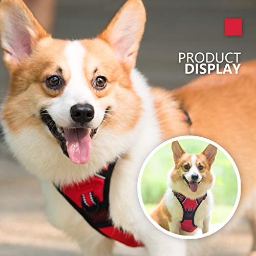 Dog Harness Large (L / Red)