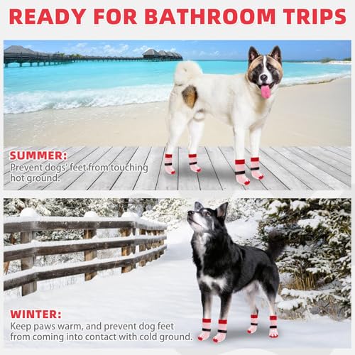 Dog Socks for Hot