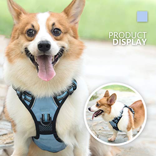 Dog Harness Medium (M / Light Blue)