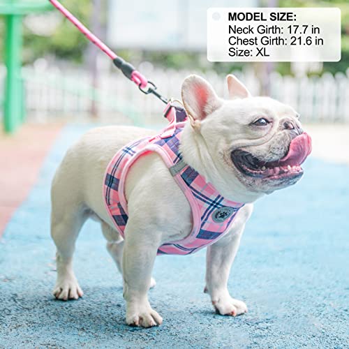 Dog Harness Medium Sized and Leash Set (Medium(Chest Girth 16" - 18") / Pink)