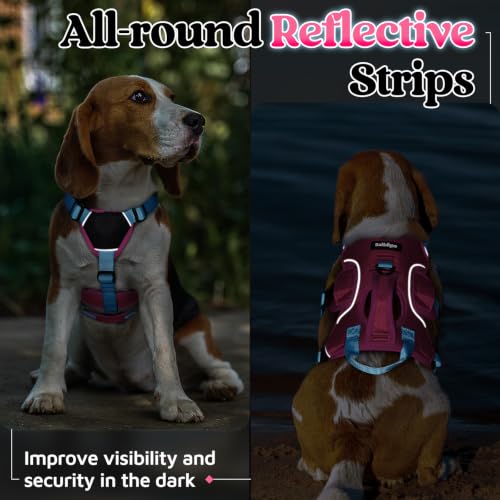Escape Proof Dog Harness for Small (Sky & Peach & Rose / Small)