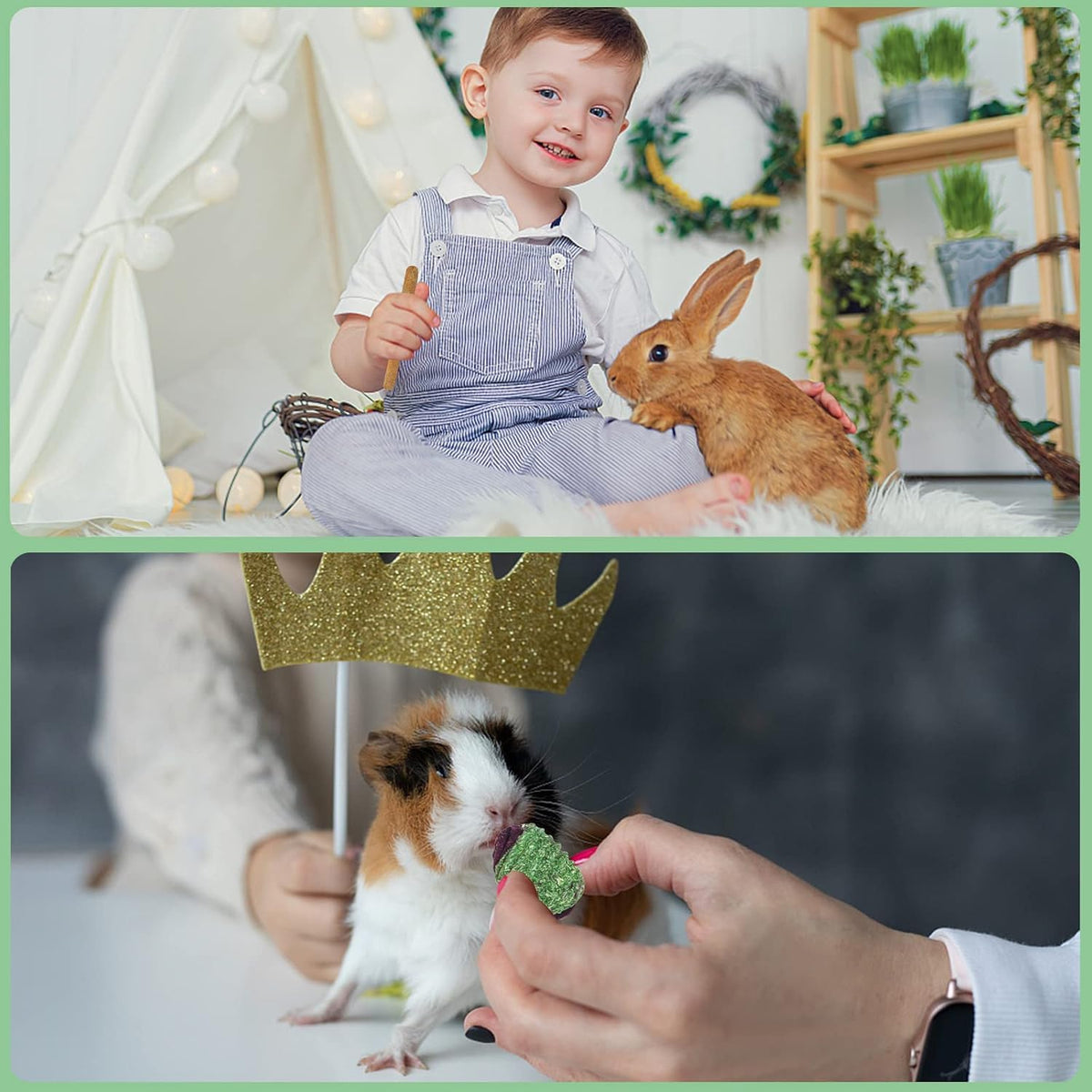 Rabbit Chew Toys Teeth Timothy Hay Sticks (36Pack-sticks Set)