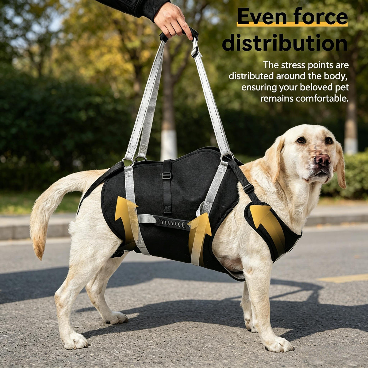 Dog Sling for 44 (XL)