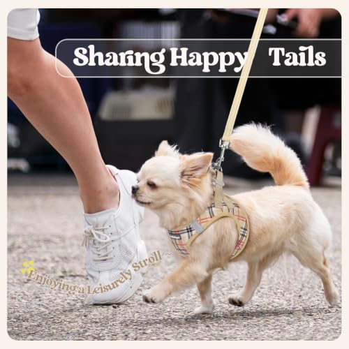 Dog Harness Medium Sized and Leash Set (Beige Plaid / M (chest: 16 - 18.5"))