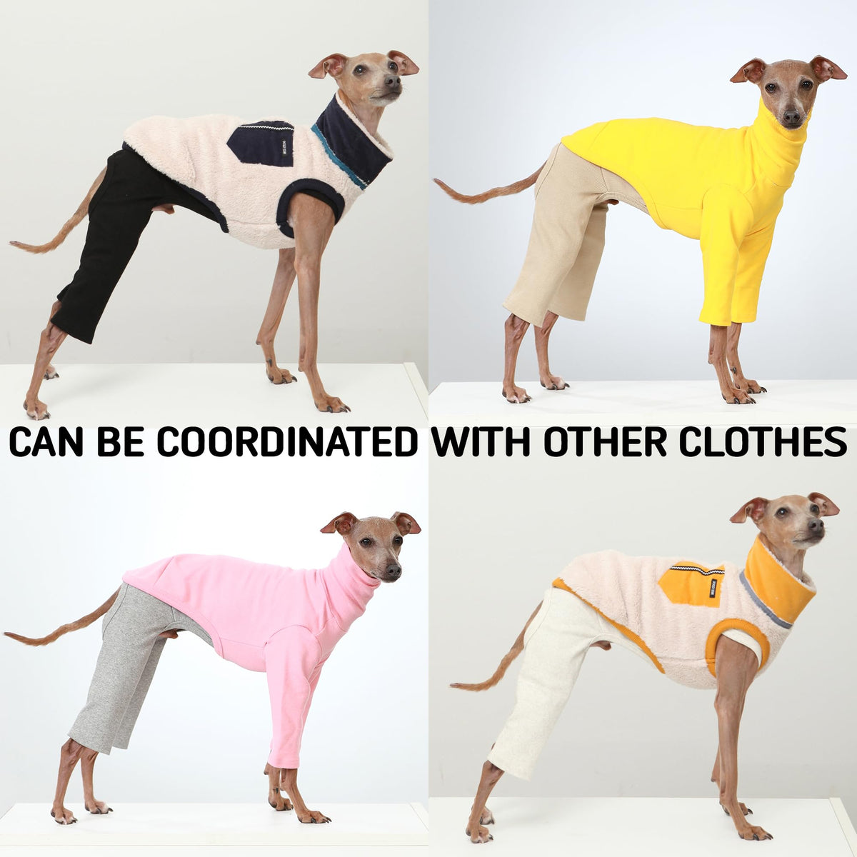 D Doggy Star Italian Greyhound Clothes High (M / COORDI BLACK)