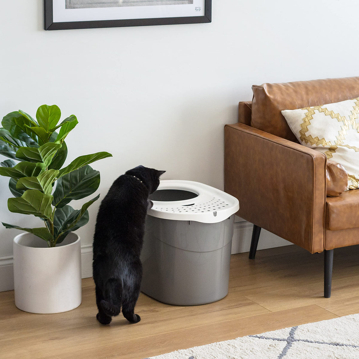 Top Entry Cat Litter Box (Oval / Gray w/ Scoop)