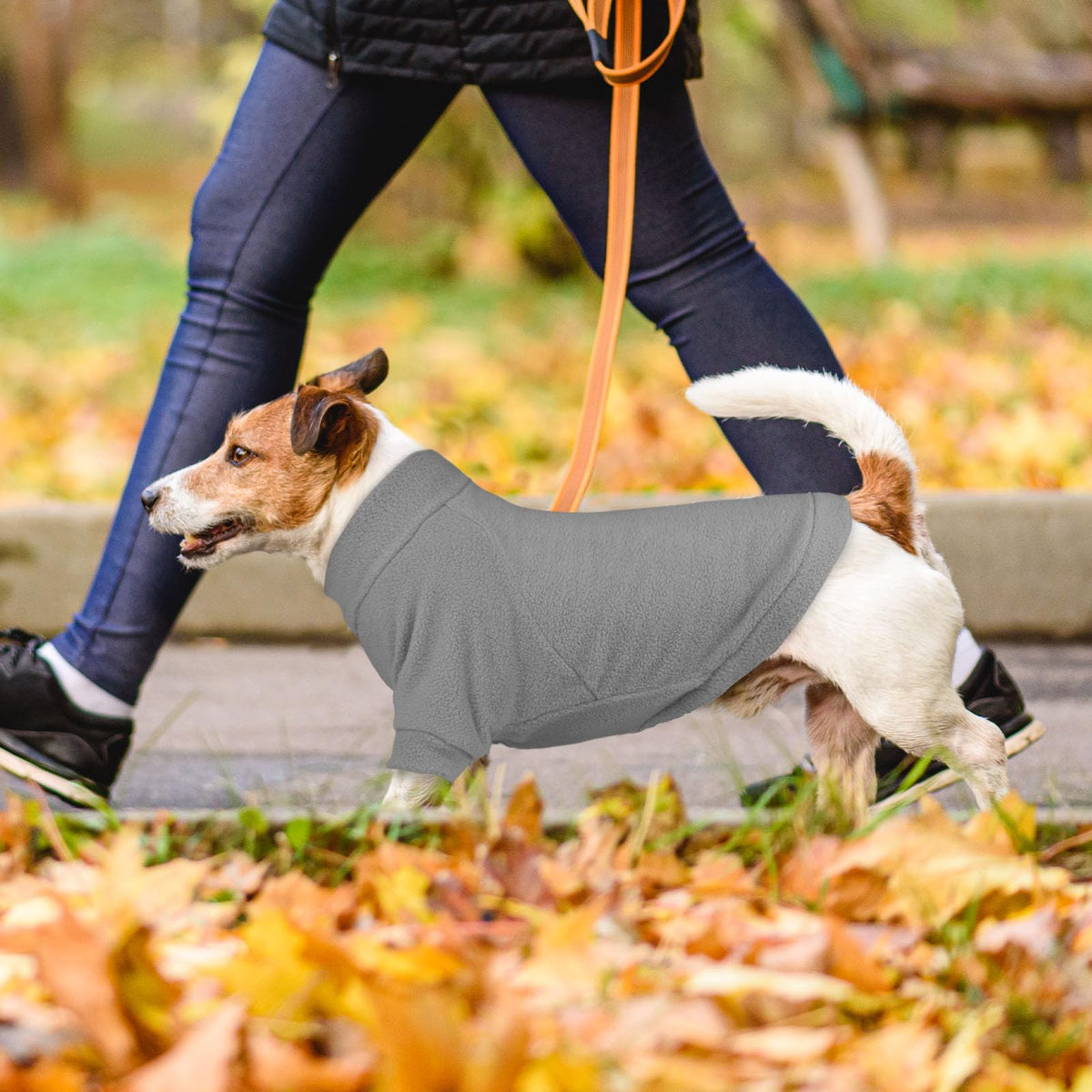 3 Pack Dog Sweaters for Small Dogs (S / Gray Royal Blue Navy)