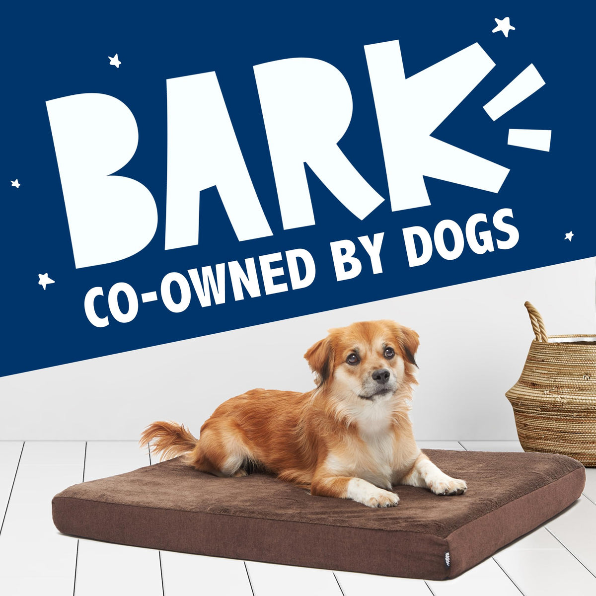 Orthopedic Dog Bed (Espresso / Large)