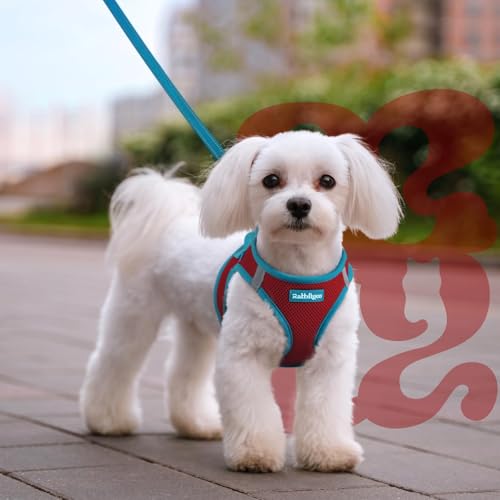 Dog Harness Small Sized and Leash Set (Red & Teal / L (Chest: 18.2"-20.5"))