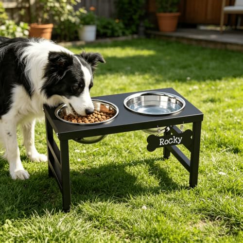 10" Elevated Dog Bowls (Black-L, Slow Feeder / Height:10inch)