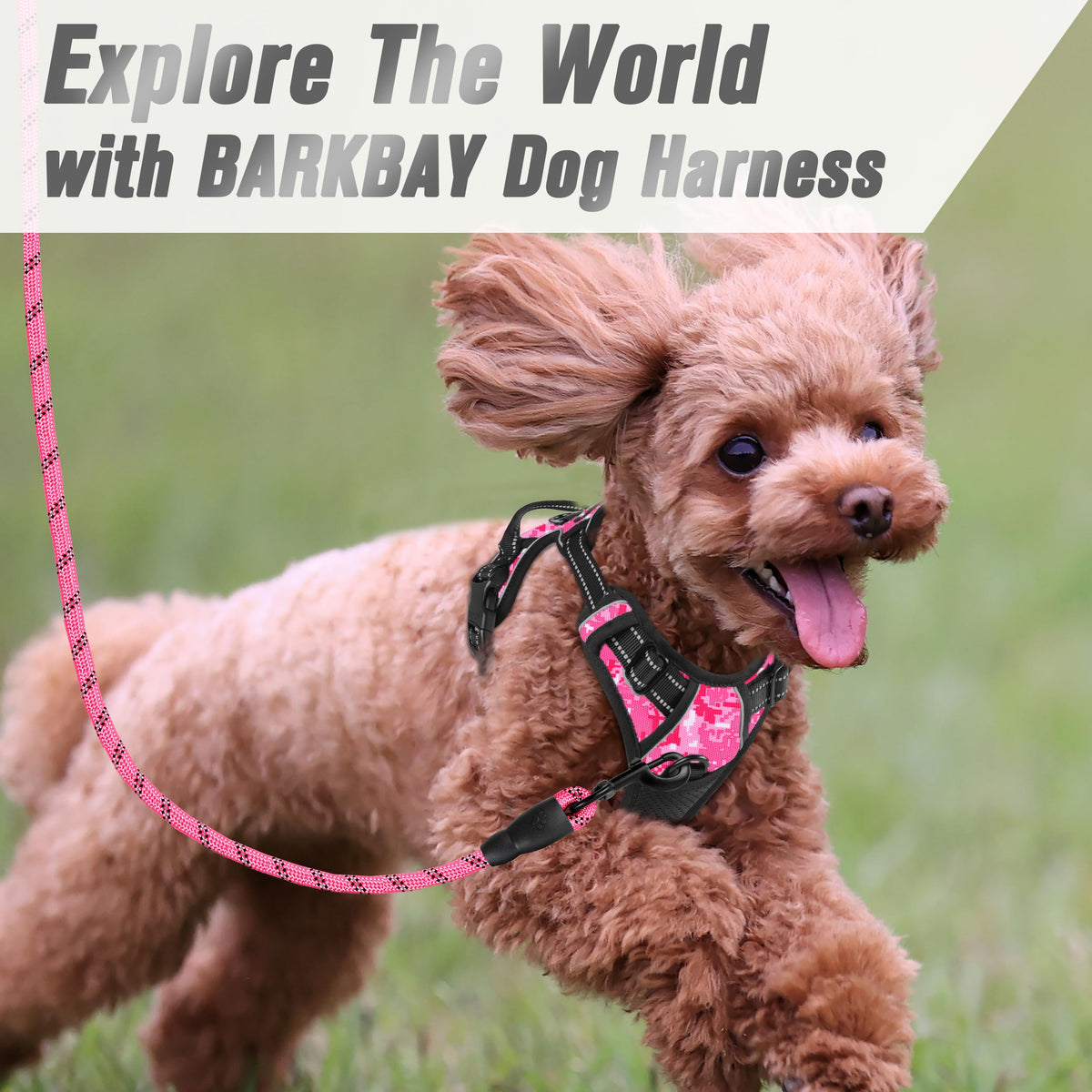 Dog Harness No Pull for Small Sized Dog Front Back Clips (X-Small(Chest:15.5-19.5”) / Pink Camo)