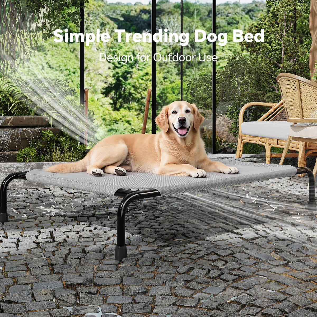 Raised Dog Bed for Large Dogs (Grey / 47.75"L x 30.5"W x 8"Th)