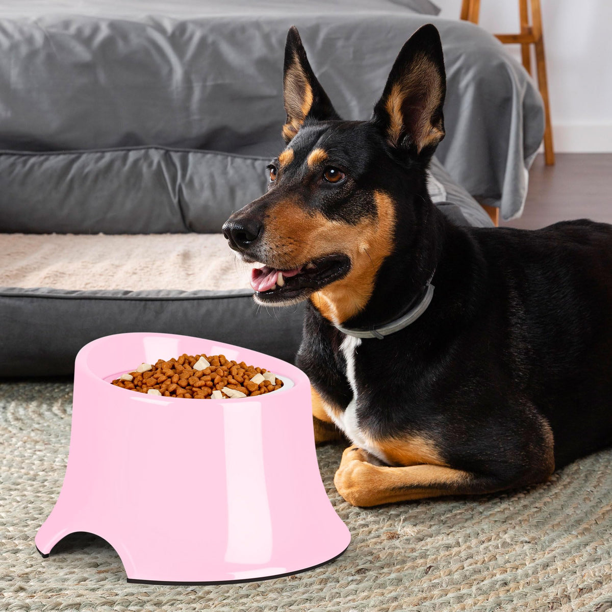 Tilted Elevated Dog Bowls Non (M/2 Cup / Pink)