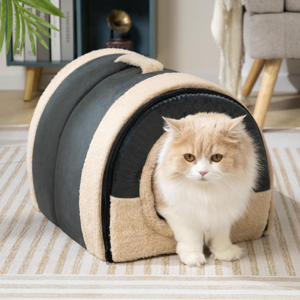 Cat Bed Cave for Indoor Cats for Pets up to 20 lbs (Dark Gray Arched Cave)