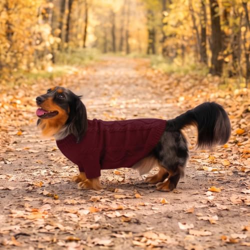 XL Dog Sweater (X-Large / Burgundy)