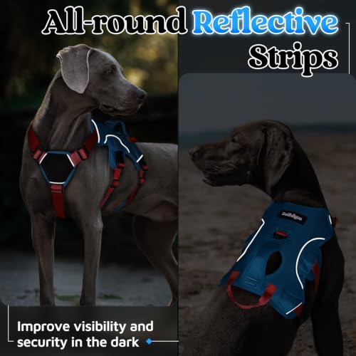 Escape Proof Dog Harness for X (Red & Blue / X-Large)