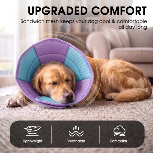 Dog Cone Soft Cone for Dogs to Stop Licking (Purple Blue / Large)