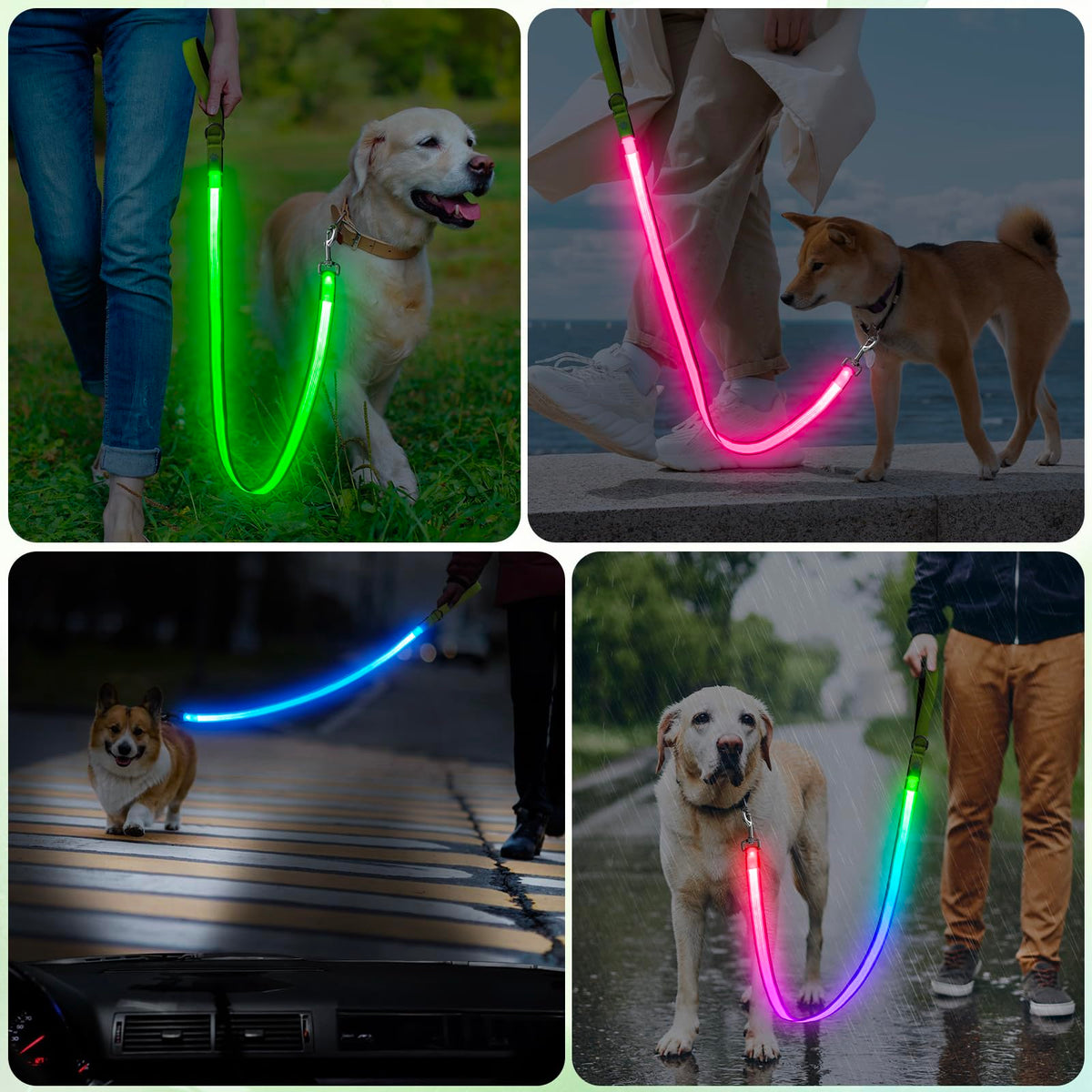 4 Ft Multi Color Light up Dog Leash (Multi-Color / 4 FT (Green))
