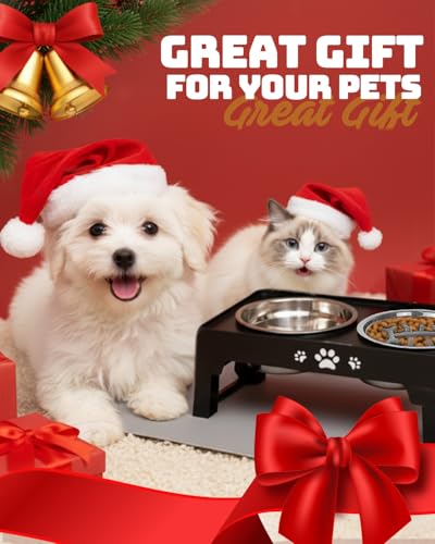 Elevated Dog Bowls for Small Dogs and Cats with Mat (for Small Dogs 1 Basic&1Slow Bowl with Mat / Black)