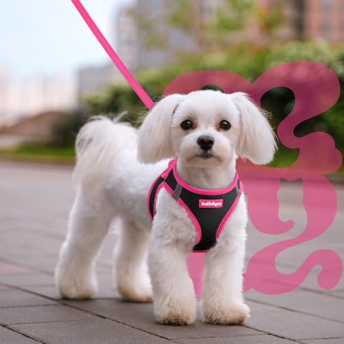 Dog Harness Small Sized and Leash Set (Black & Rose Red / M (Chest: 16.0"-18.5"))