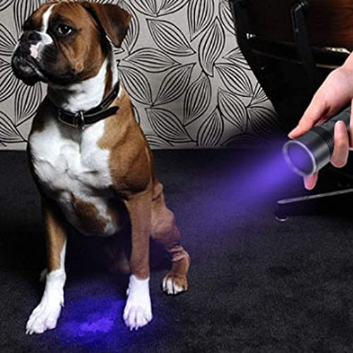 365NM Pro Flashlight (Black and Silver)