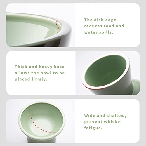 2 Pack Elevated Ceramic Cat Bowls Extra Wide for Food & Water + Food Mat Sage Green+Mat (Sage Green+Mat)