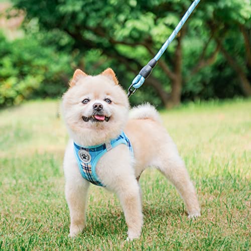 Small Dog Harness and Leash Set (XSmall(Chest Girth 13" - 14.5") / Blue)