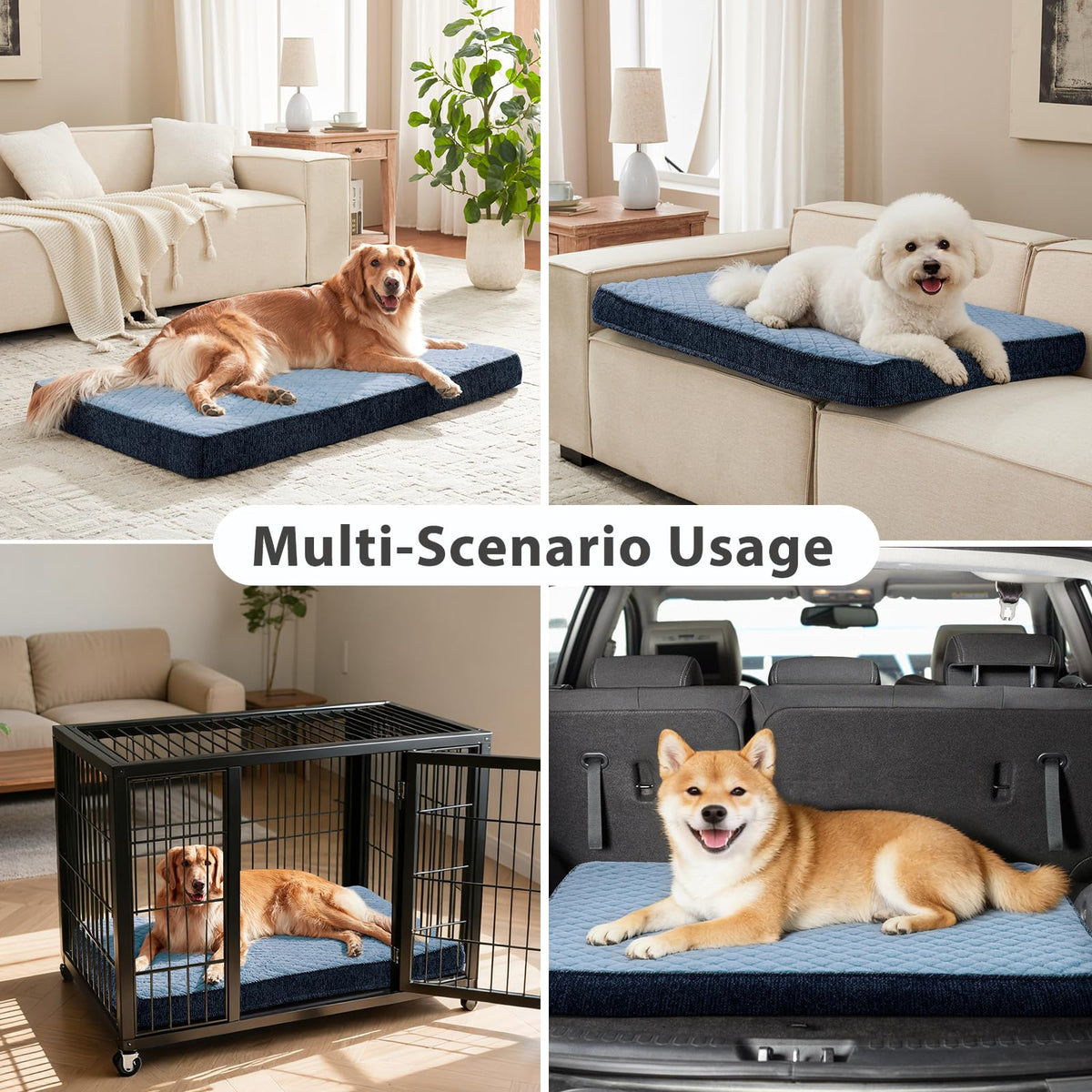 Orthopedic Medium Dog Bed (M(29"x18") / Blue)