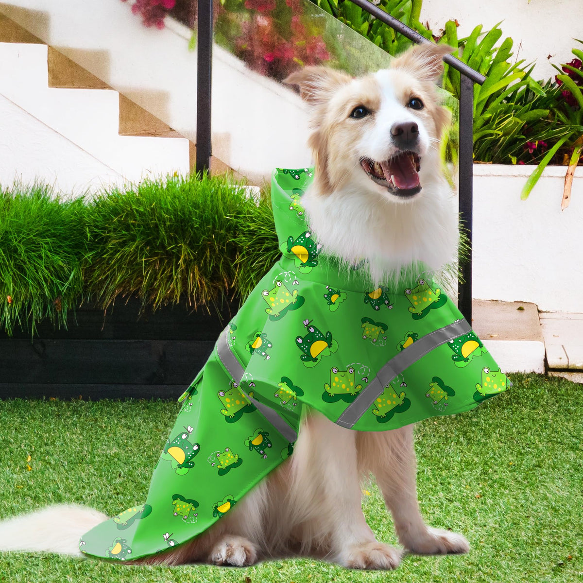 Large Dog Raincoat Adjustable (Green Frog / 3X-Large (Pack of 1))