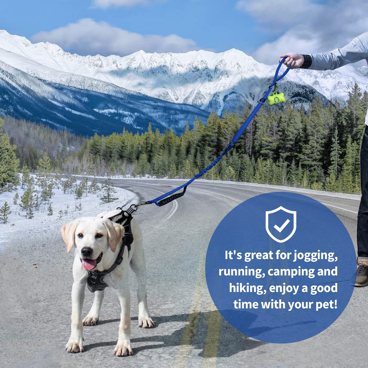 Multifunctional Dog Leash for Large & Medium Dogs (Blue)