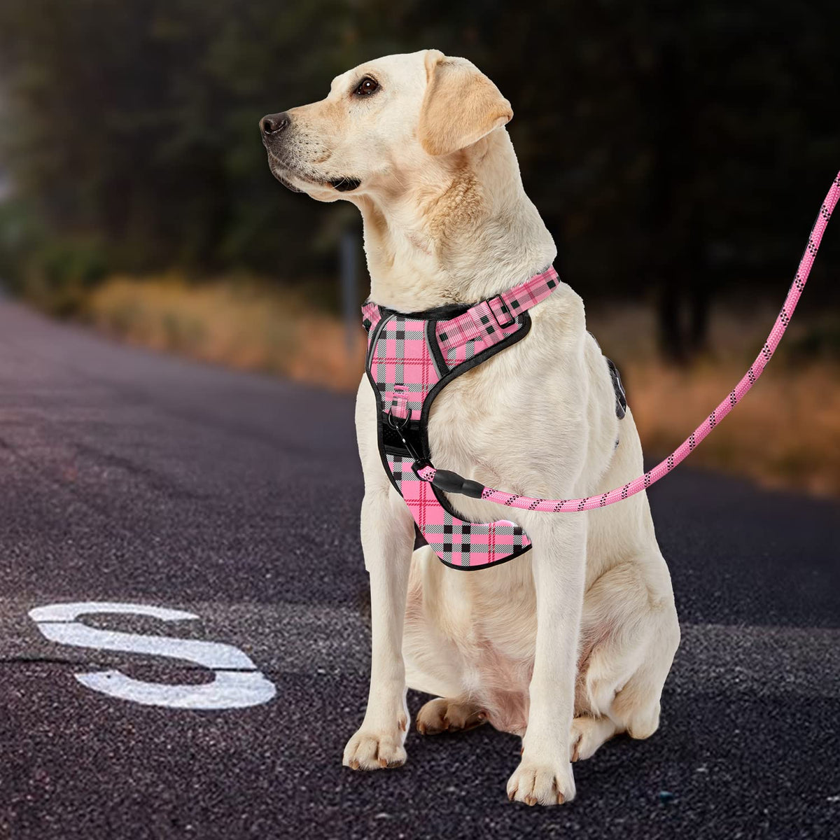 No Pull Dog Harness for Large Dogs (Checkered Pink / X-Large)