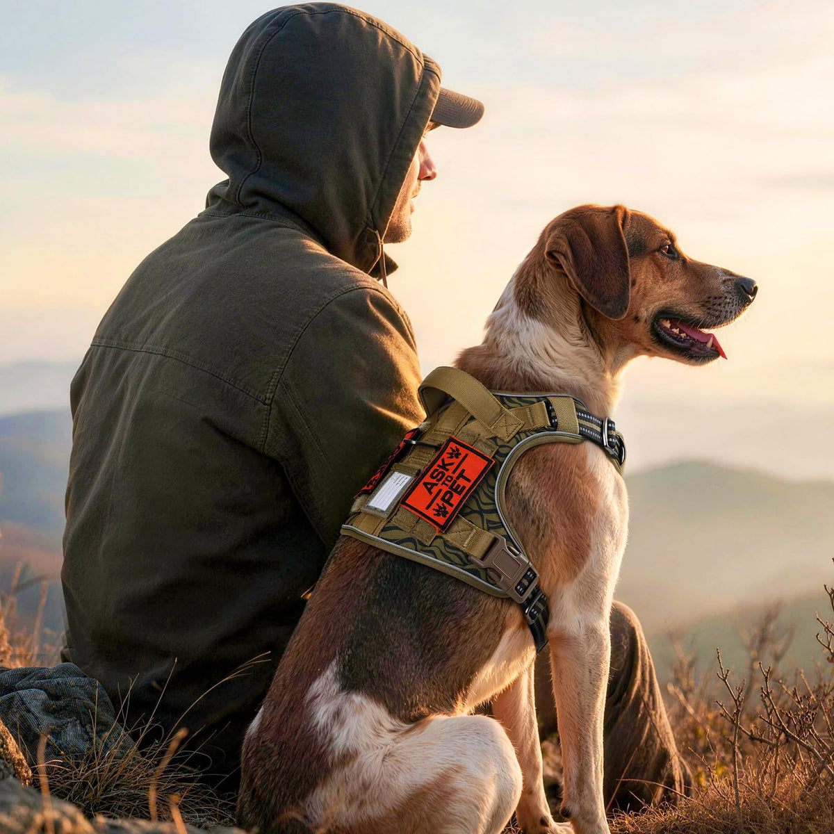 Tactical Dog Harness for Large (Brown Desert / Medium)