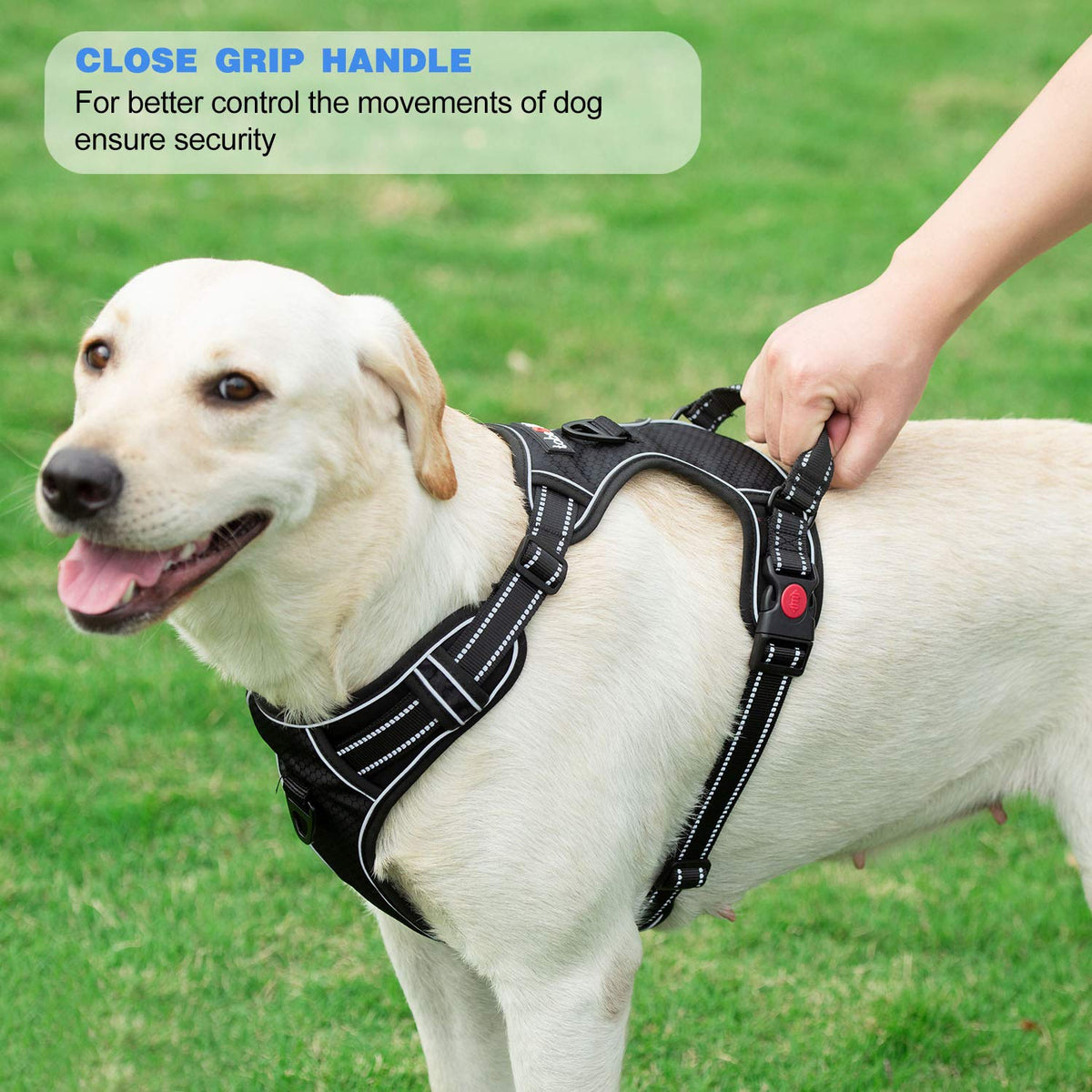 No Pull Dog Harness Adjustable Reflective Oxford Easy Control Medium Large Dog Harness with A Free Heavy Duty 5ft Dog Leash (Pink/Blue / Large)