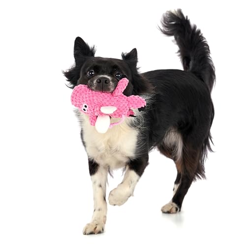 Farm Friends Sitting Flying Pig Squeaky Dog Toy (Mini)
