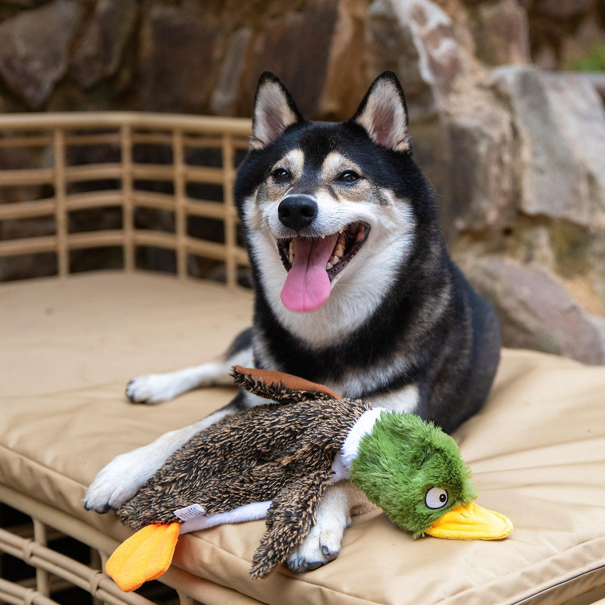 2-in-1 Stuffless Squeaky Dog Toy - 4 Figures, Small (Wild Duck, Hare, Squirrel & Alligator / Small)