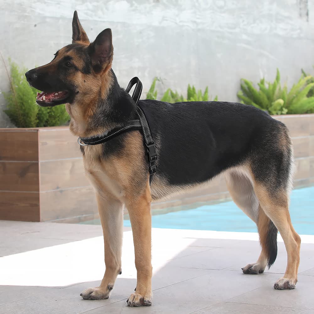 No Pull Dog Harness with Front Clip (L: chest 25.2"-32.3" / Black)