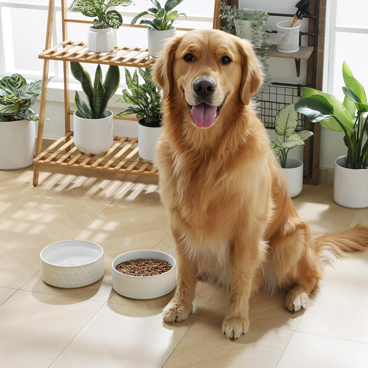 Ceramic Dog Food Bowl (Honeycomb / 6 Cups)