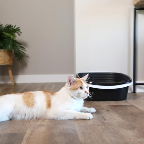 Arm and Hammer Large Sifting Cat Litter Box with Microban (Large / Sifting)