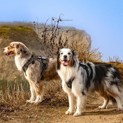 Tactical Dog Harness for X (Grey / X-Large)