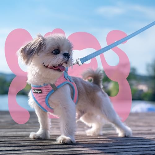 Dog Harness Small Sized and Leash Set (Pink & Blue / XXS (Chest: 12.4"-14.2"))