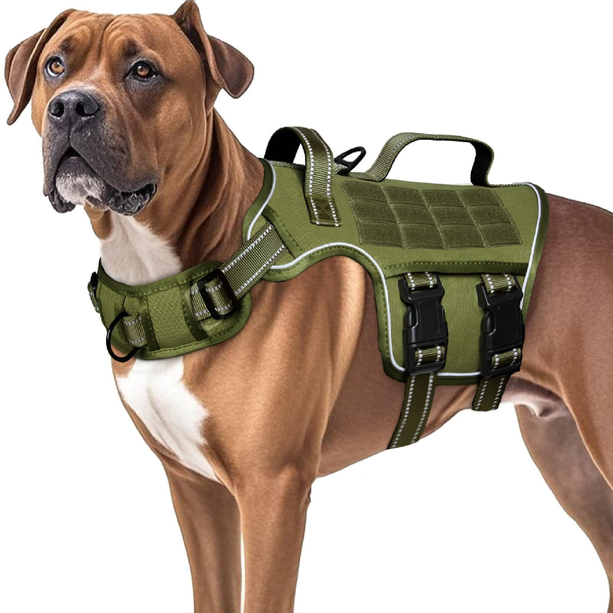 Dog Harness for Large Dogs (Green / XL(Neck:21-32",Chest:26-39"),75-135 lbs)