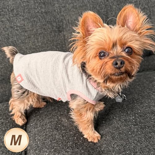 2Pack Waffle Dog Shirt for Small Dogs Striped Dog Sweater Tank Top (Medium (7-11lbs) / 2Pack(Pink+Grey))