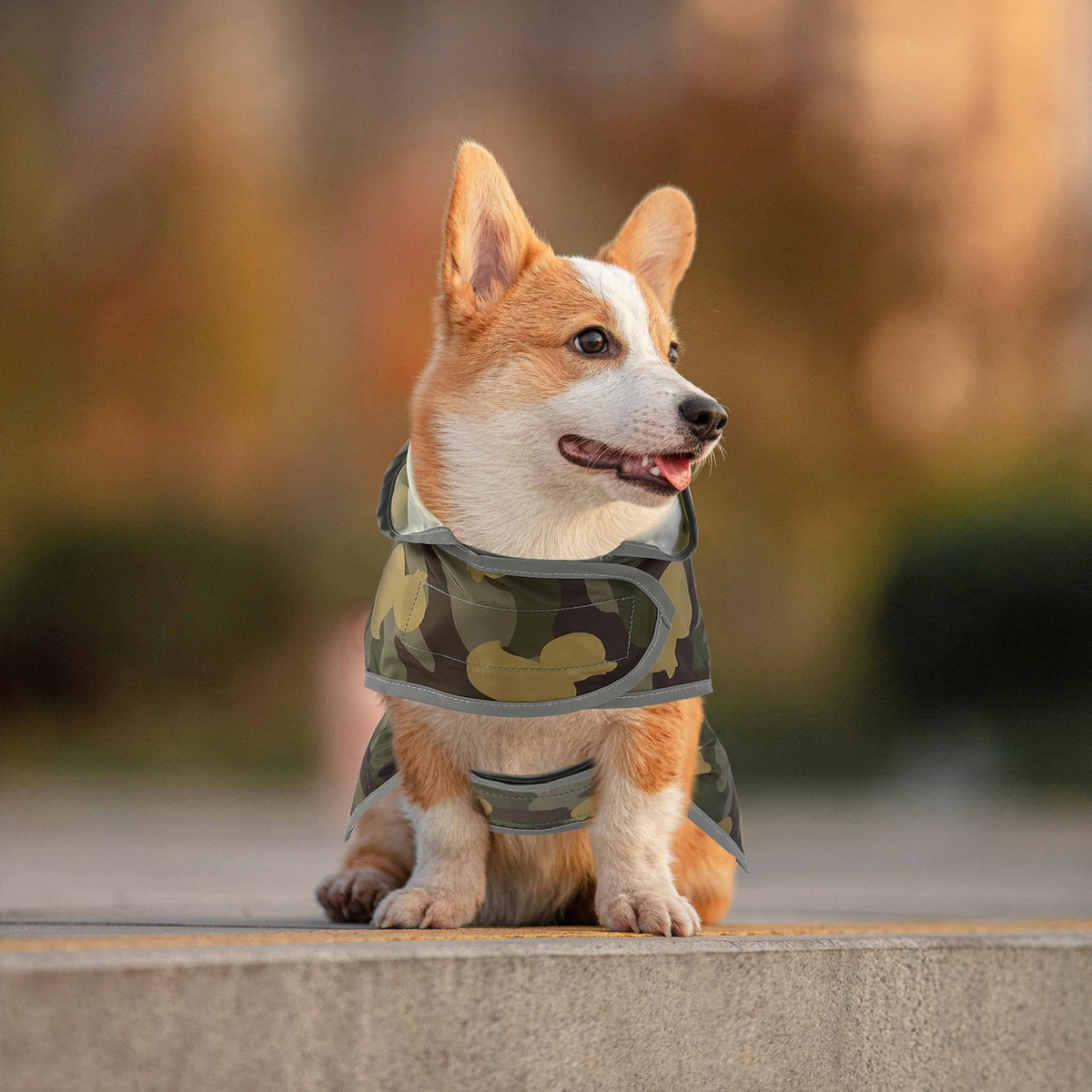 Reflective Dog Poncho Rain Jacket (Camo Ducks / Large)