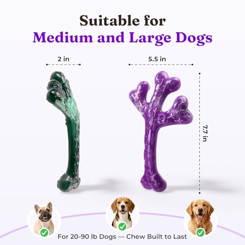 2 Pack Tough Dog Chew Toys for Aggressive Chewers (Green & Purple-2-Pack)