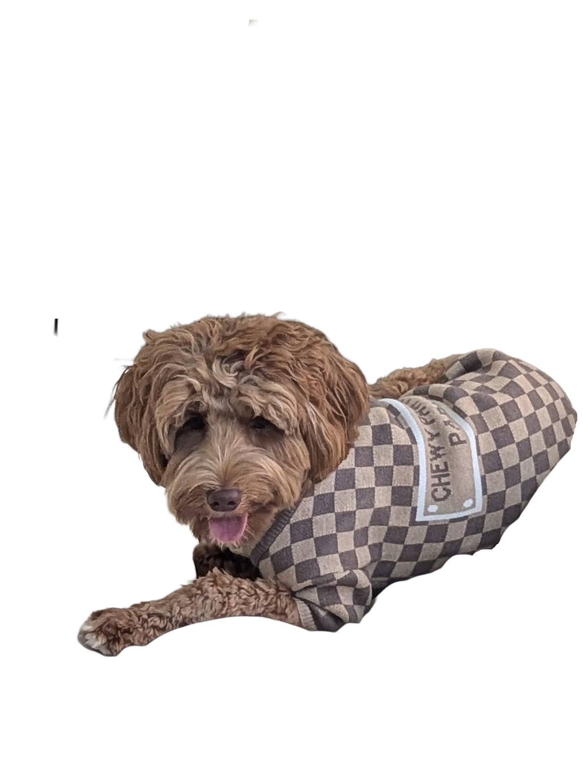 Dog Sweater for Small Dogs (Medium)