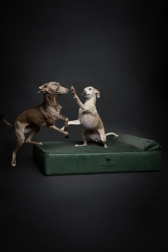 Large Dog Bed (Vegan Leather - Green / Large)