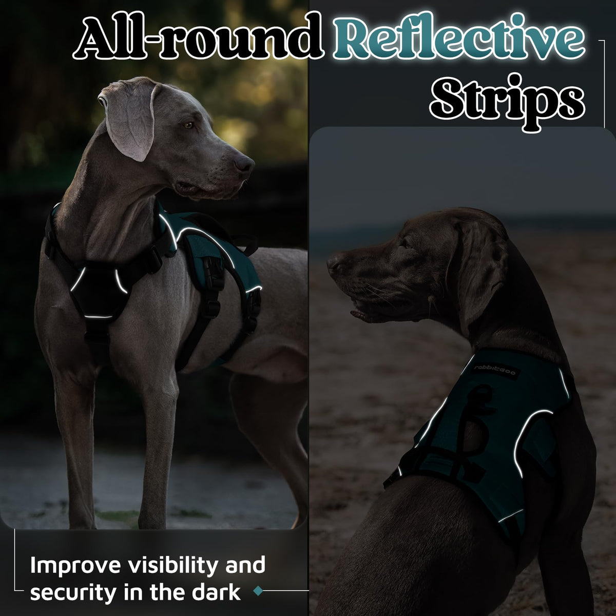 Escape Proof Dog Harness for Medium (Dark Green / Medium)