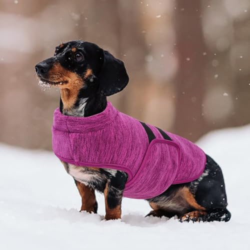 Dog Sweaters for Medium Dogs (Cationic Berry / Medium)