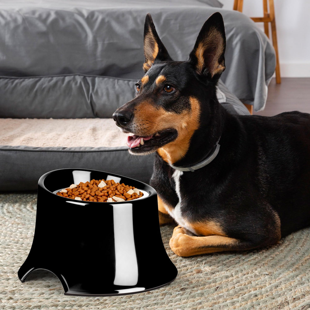 Tilted Elevated Dog Bowls Non (M/2 Cup / Black)